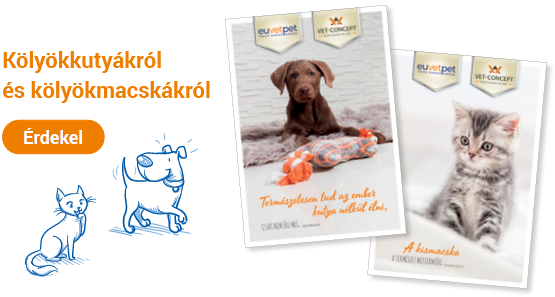 Fiatal kutyák és macskák