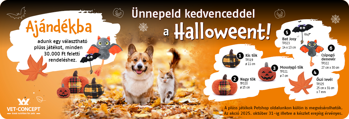 Halloween ajándék!