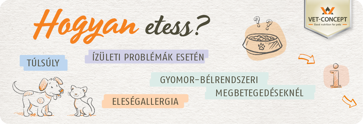 Hogyan etess?